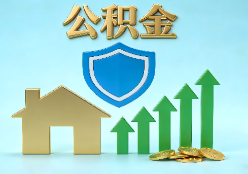 南川当前住房公积金提取条件分类指南与政策趋势